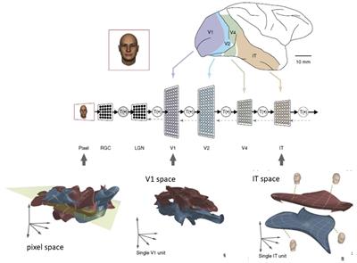 Toward a computational theory of manifold untangling: from global embedding to local flattening